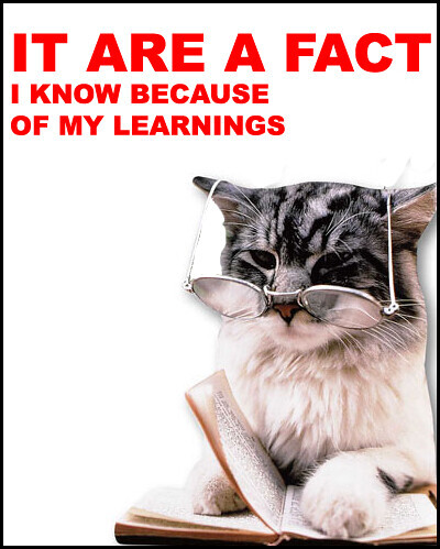 It are a fact. I know because of my learnings.